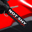 Not Shy I Just Don't Like You - Motorcycle Keychain