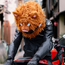 Motorcycle Helmet Cover - Wild Boar