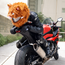 Motorcycle Helmet Cover - Wild Boar