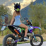 Large Horns Black - Motorcycle Helmet Accessory