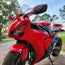 Large Horns Red - Motorcycle Helmet Accessory
