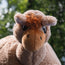 Motorcycle Helmet Cover - Alpaca