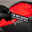 Not Bossy, I Have Leadership Skills - Motorcycle Keychain