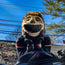 Motorcycle Helmet Cover - Sloth