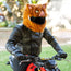 Motorcycle Helmet Cover - Wild Boar