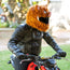Motorcycle Helmet Cover - Wild Boar
