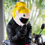 Motorcycle Helmet Cover - Fairy