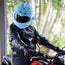 Motorcycle Helmet Cover - Dolphin