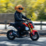 Motorcycle Helmet Cover - Spider