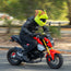 Motorcycle Helmet Cover - Goblin