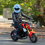 Motorcycle Helmet Cover - Dolphin