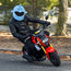 Motorcycle Helmet Cover - Dolphin