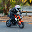 Motorcycle Helmet Cover - Elephant