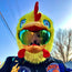 Motorcycle Helmet Cover - Chicken