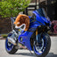 Motorcycle Helmet Cover - Angry Teddy