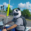 Motorcycle Helmet Cover - Panda