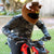 Motorcycle Helmet Cover - Bull