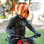 Motorcycle Helmet Cover - Clown Fish