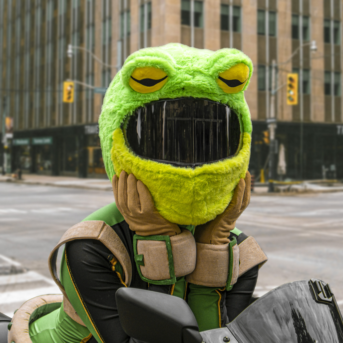 Motorcycle Helmet Cover - Frog Motorcycle Helmet Cover - Frog