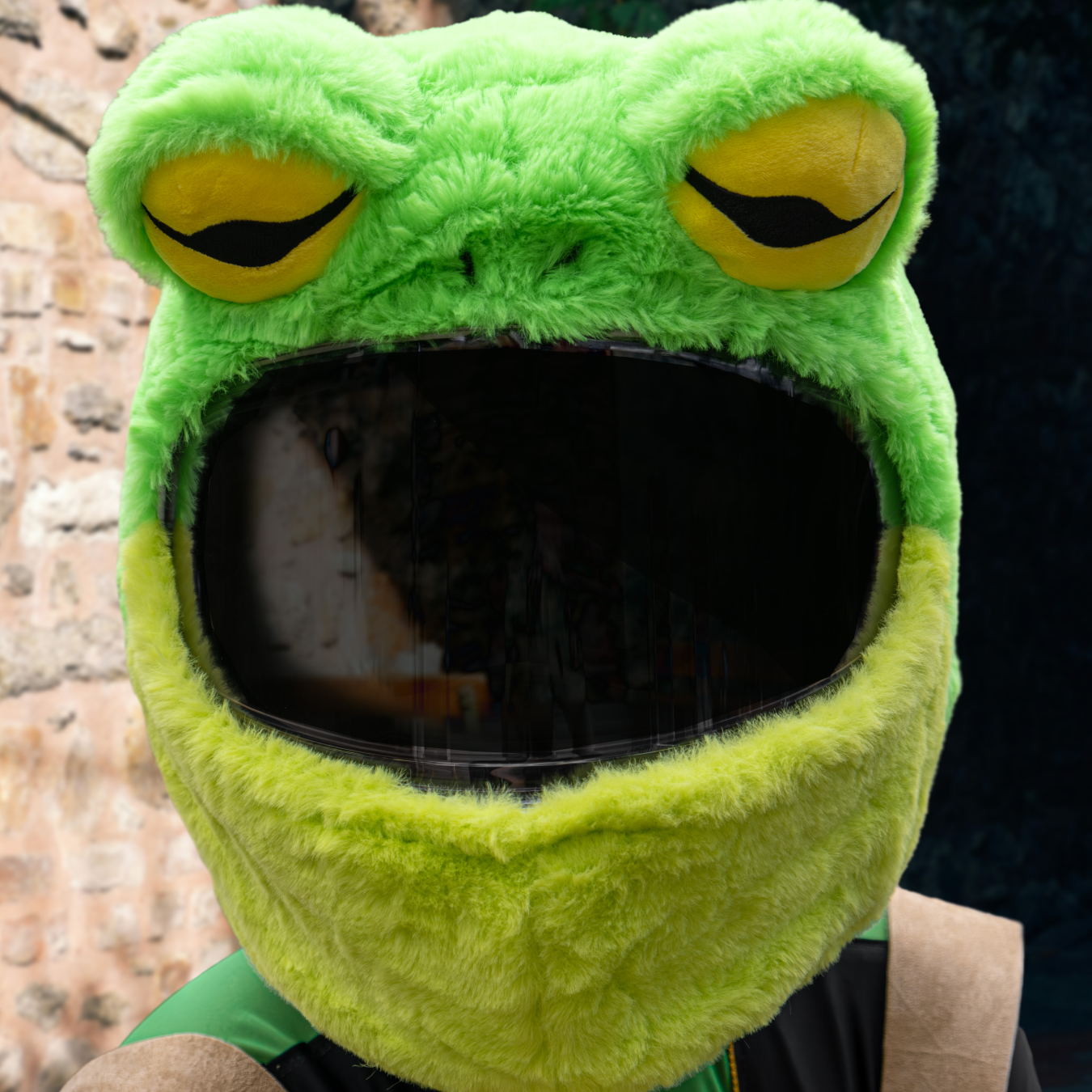 Motorcycle Helmet Cover - Frog