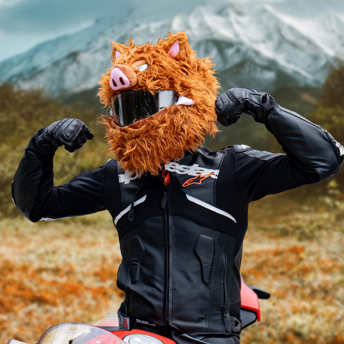Motorcycle Helmet Cover - Wild Boar