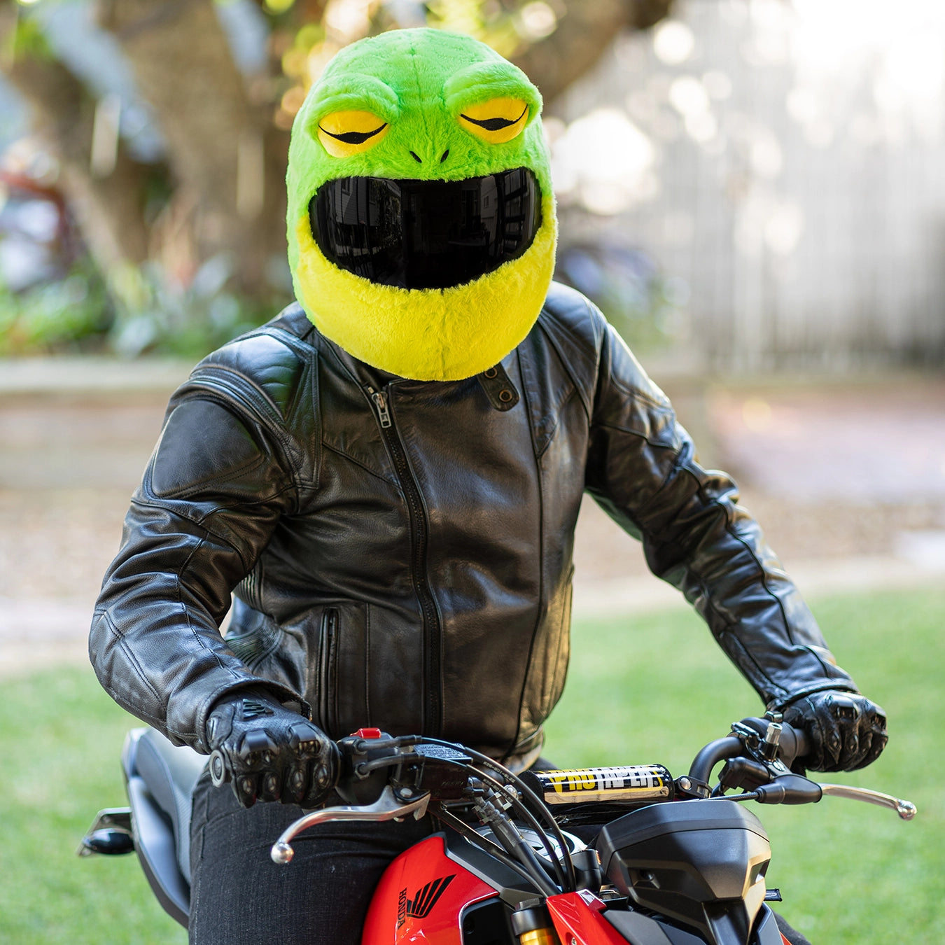 amazon bike helmet cover Motorcycle Helmet Cover - Frog