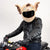Motorcycle Helmet Cover - House Elf