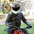 Motorcycle Helmet Cover - Koala
