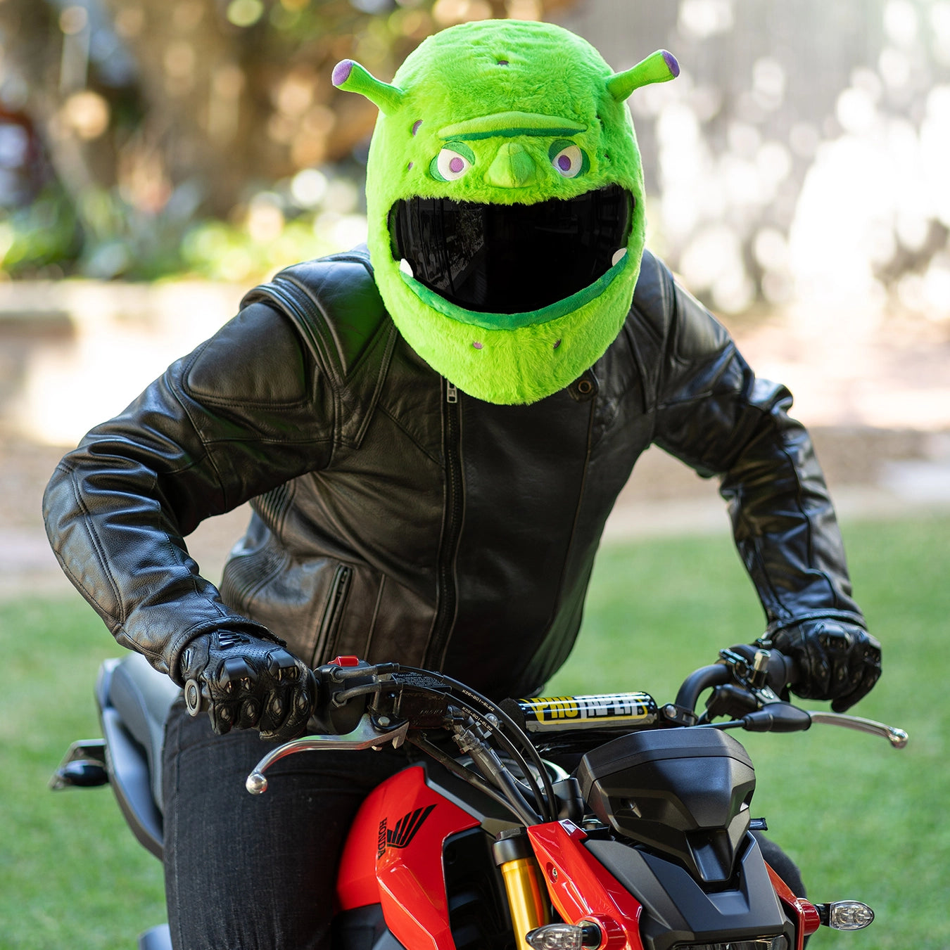Motorcycle Helmet Cover Ogre