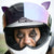 Cat Ears Purple - Motorcycle Helmet Accessory