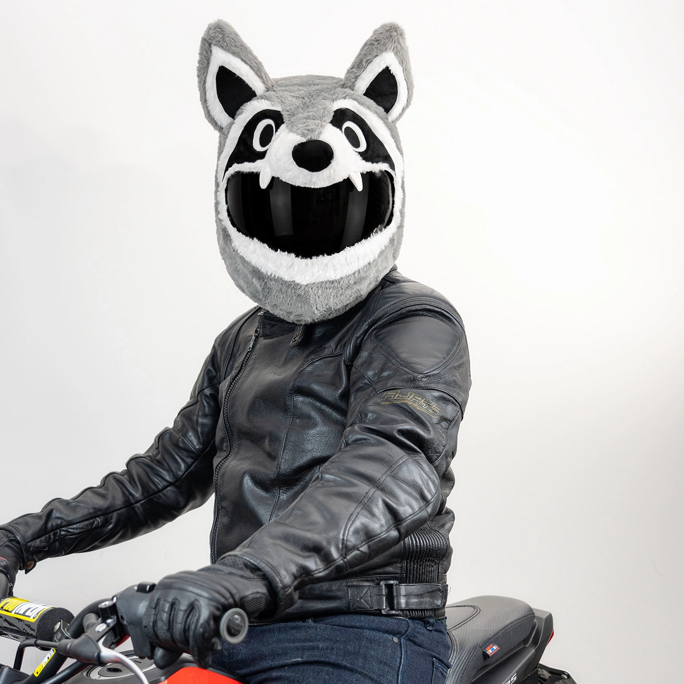 face mask motorcycle helmet ILM Balaclava Model FM01 Tested by accredited institutions in Japan and Korea Motorcycle Helmet Cover - Raccoon
