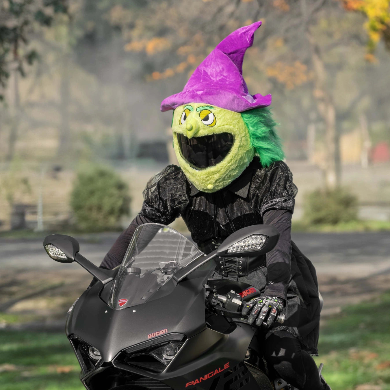 Motorcycle Helmet Cover - Witch Motorcycle Helmet Cover - Witch