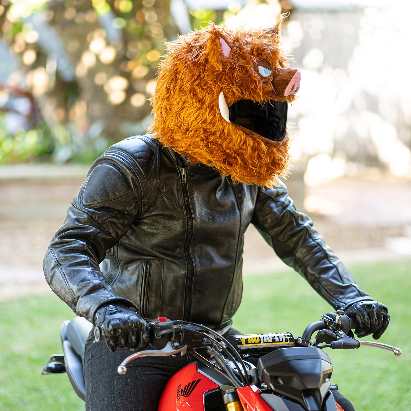 Motorcycle Helmet Cover - Wild Boar