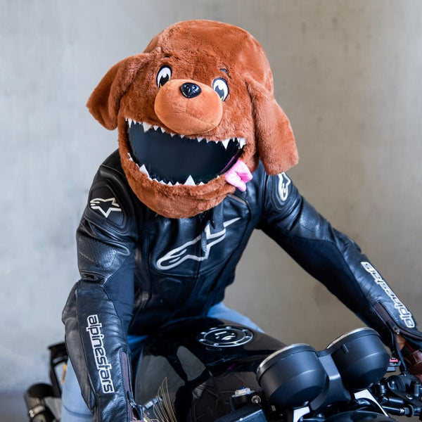 Dog on hotsell motorcycle with helmet