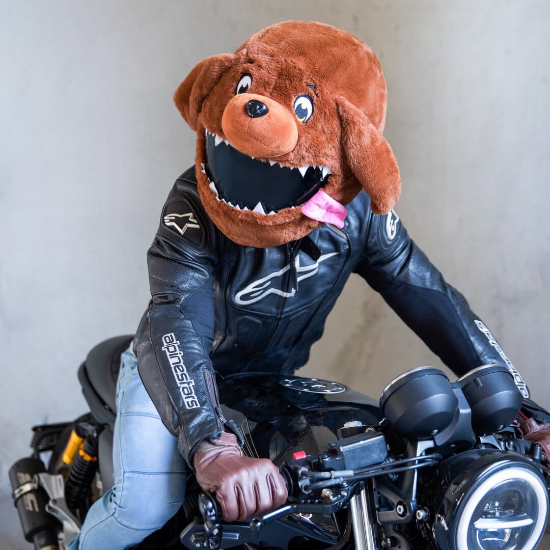 name of shoei helmet dog Moto Loot Helmet Cover For Motorcycle Helmet, Fun Rides And Gifts (cover Only. Helmet Not Included)