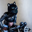 Motorcycle Helmet Cover - Cat