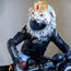Motorcycle Helmet Cover - King