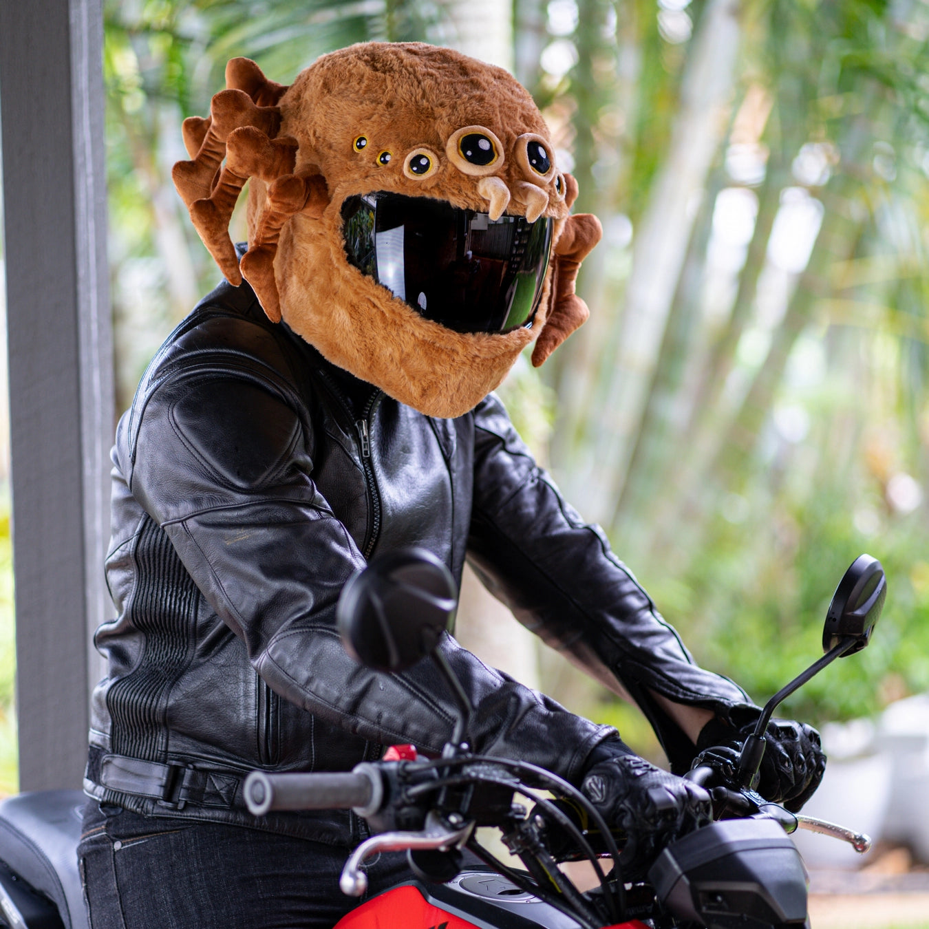 evil pumpkin motorcycle helmet Motorcycle Helmet Cover - Spider