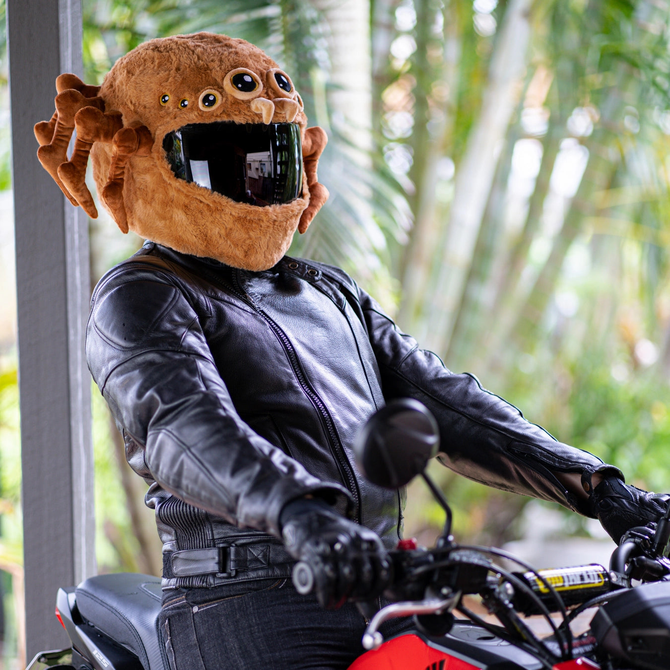 Motorcycle Helmet Cover Spider Moto Loot