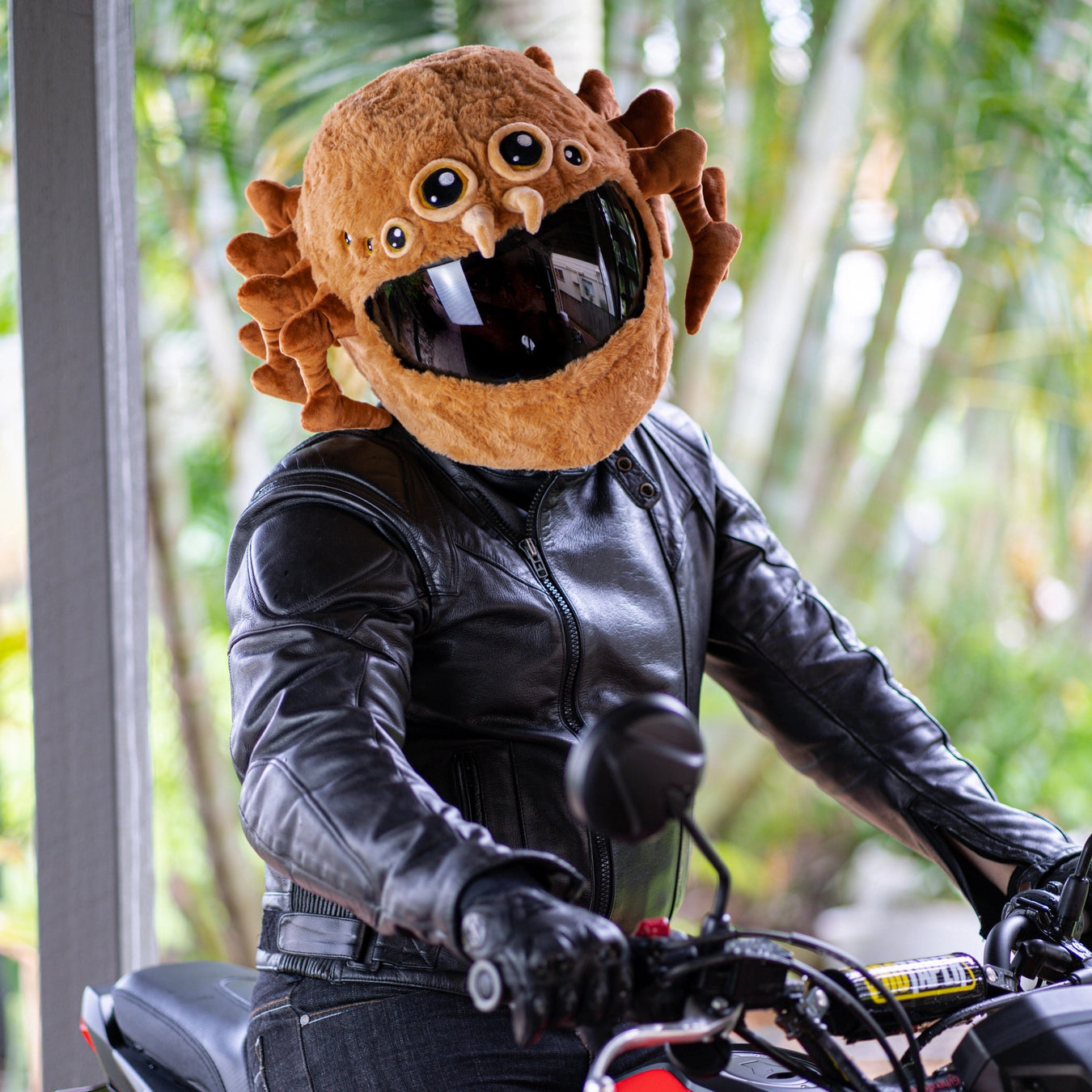 Motorcycle Helmet Cover Spider