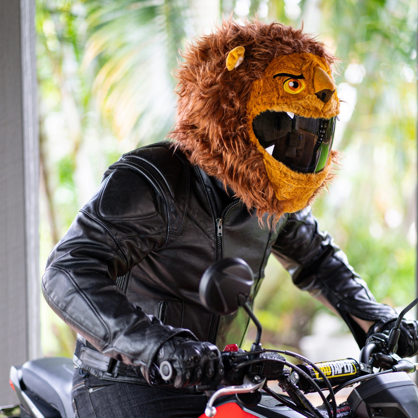 Motorcycle Helmet Cover - Lion - Moto Loot Motorcycle Helmet Cover - Lion - Moto Loot