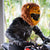 Motorcycle Helmet Cover - Lion