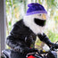 Motorcycle Helmet Cover - Wizard