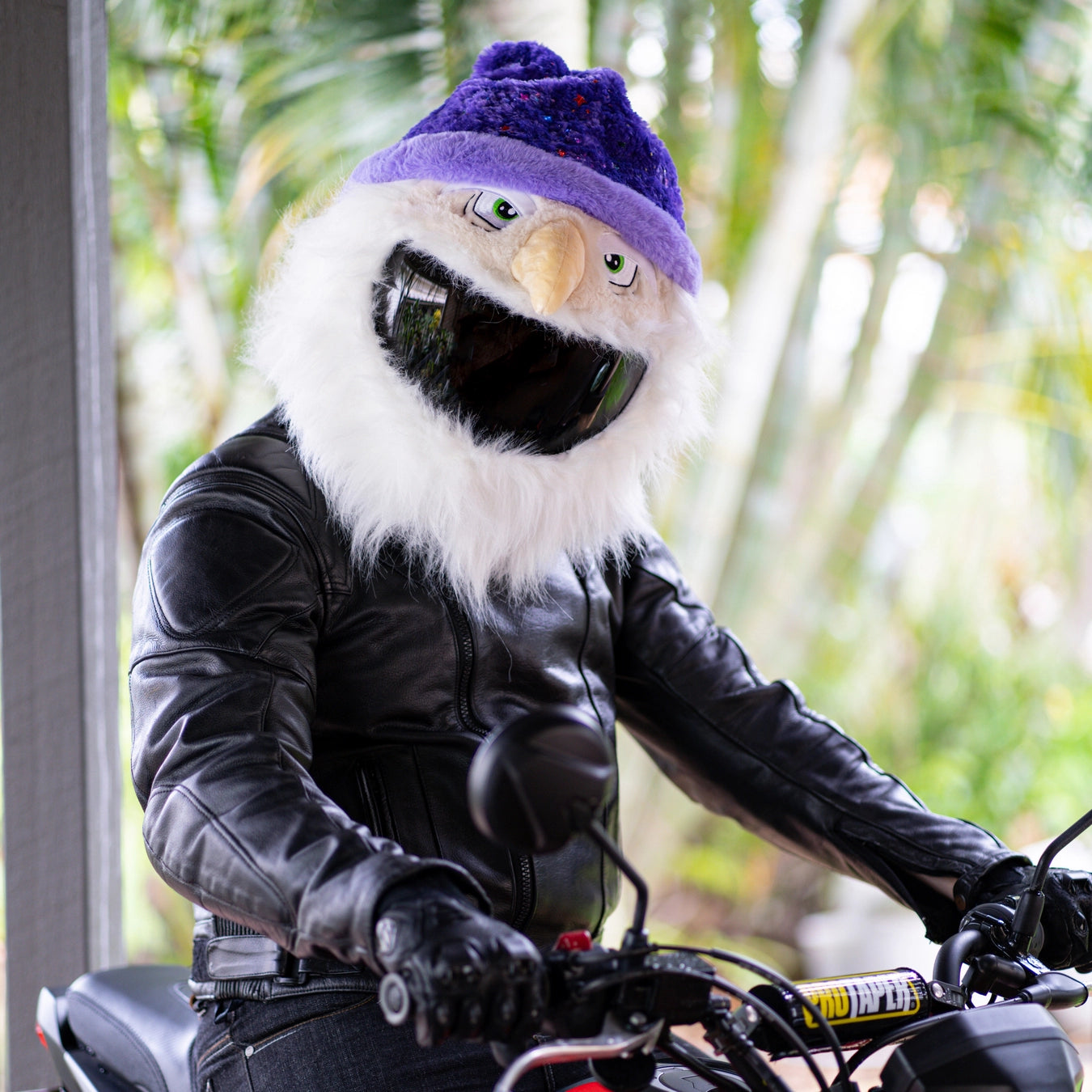 elf motorcycle helmet cover Motorcycle Helmet Cover