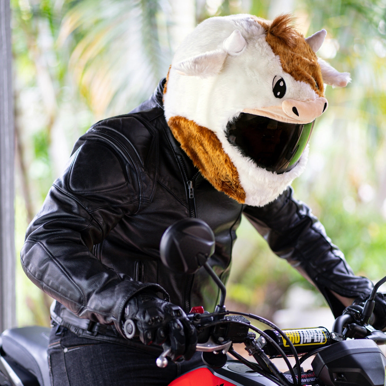 cow motorcycle helmet Motorcycle Helmet Cover