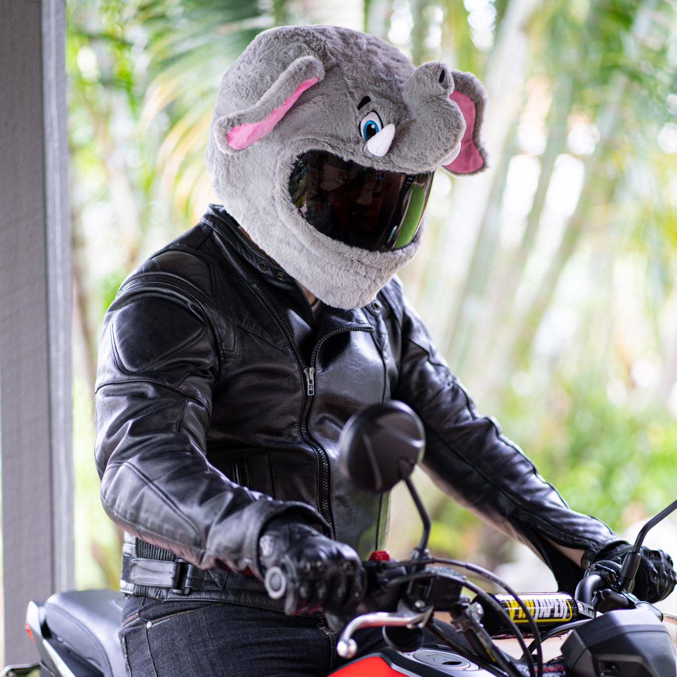 buy used motorcycle helmet 34653 Motorcycle Helmet Cover - Elephant