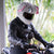 Motorcycle Helmet Cover - Elephant