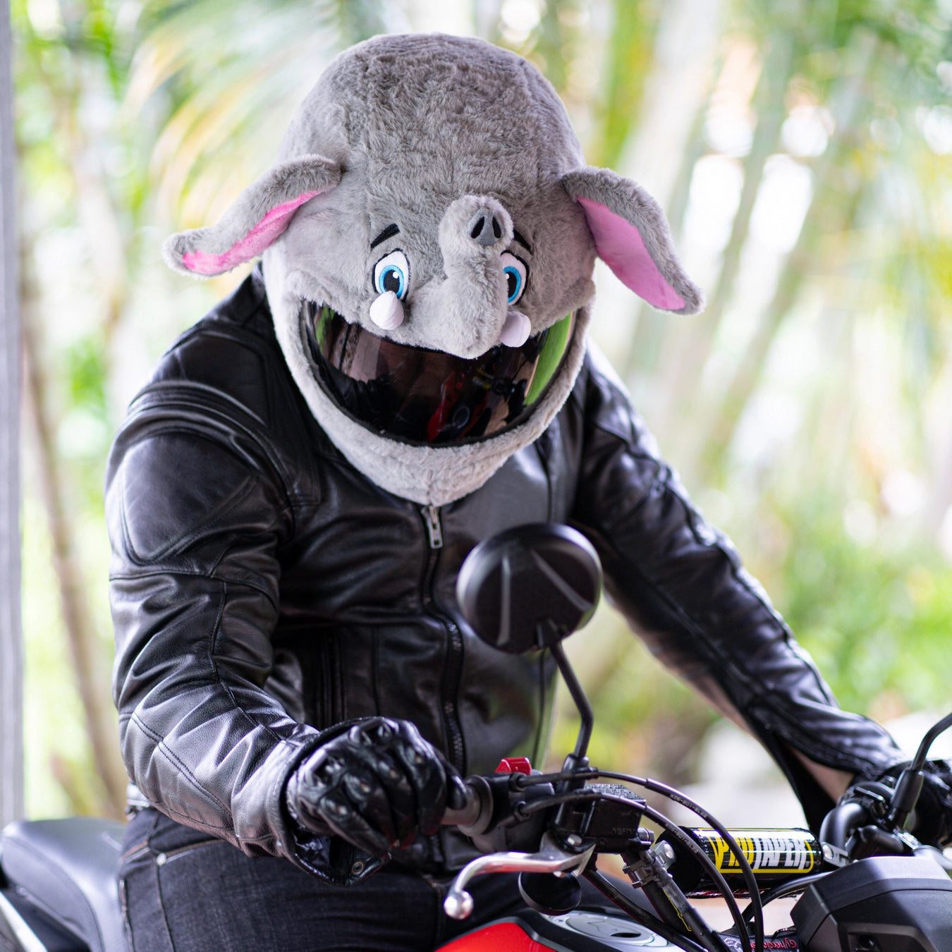 big nose motorcycle helmet Motorcycle Helmet Cover - Elephant