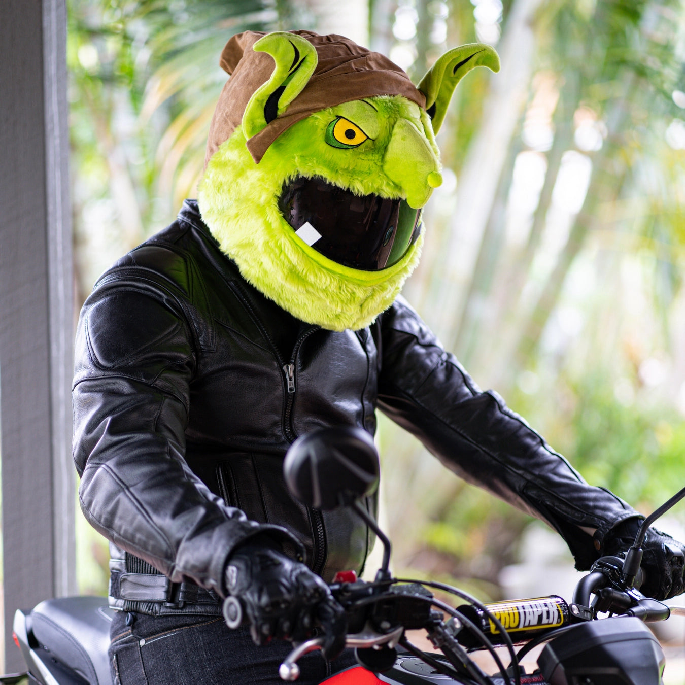 Motorcycle Helmet Cover Goblin