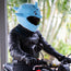 Motorcycle Helmet Cover - Dolphin